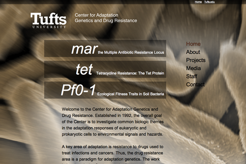 Web design: Tufts University School of Medicine