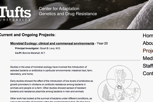 Web design: Tufts University School of Medicine